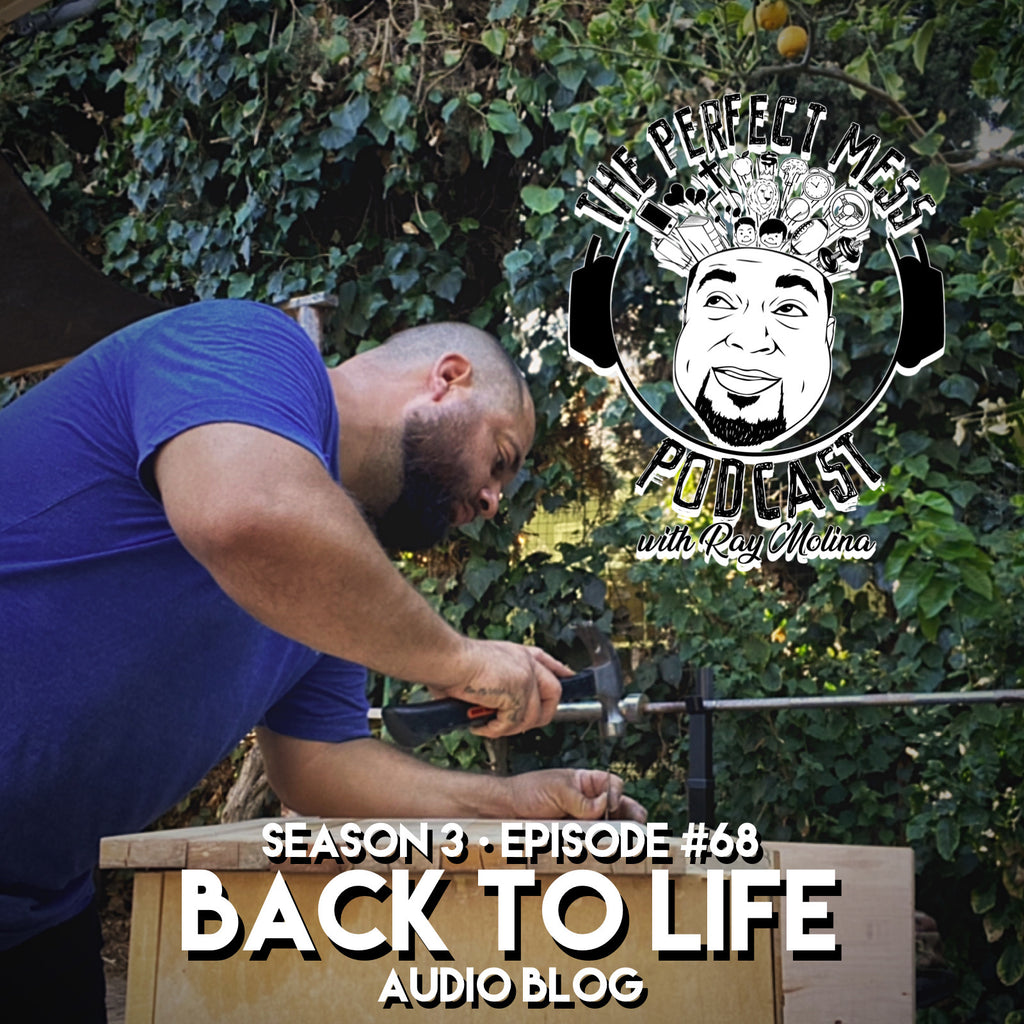 Ep. #68 - "Back to Life...Restoration" (Audio Blog)